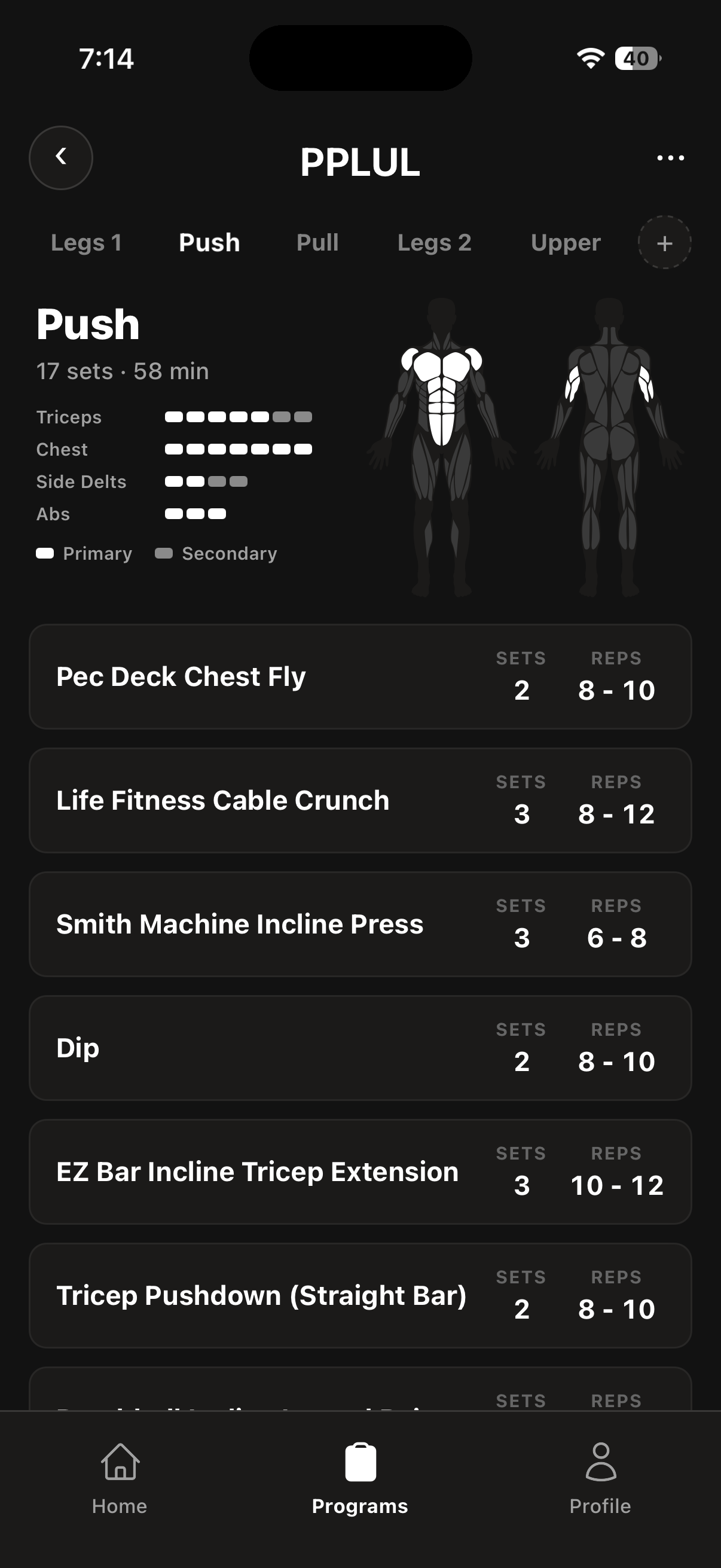 Programme builder: a Push day with chest and triceps lit on a male muscle map